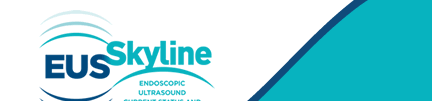 Welcome to EUS Skyline