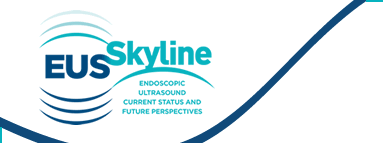 Welcome to EUS Skyline