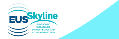 Welcome to EUS Skyline