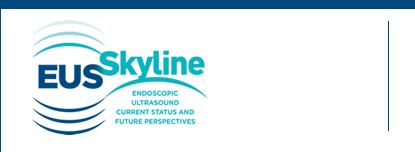 Welcome to EUS Skyline
